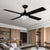 Modern Black Ceiling Fans | HAWAII 132cm / 52 inch 4 Blade With LED light 4000K