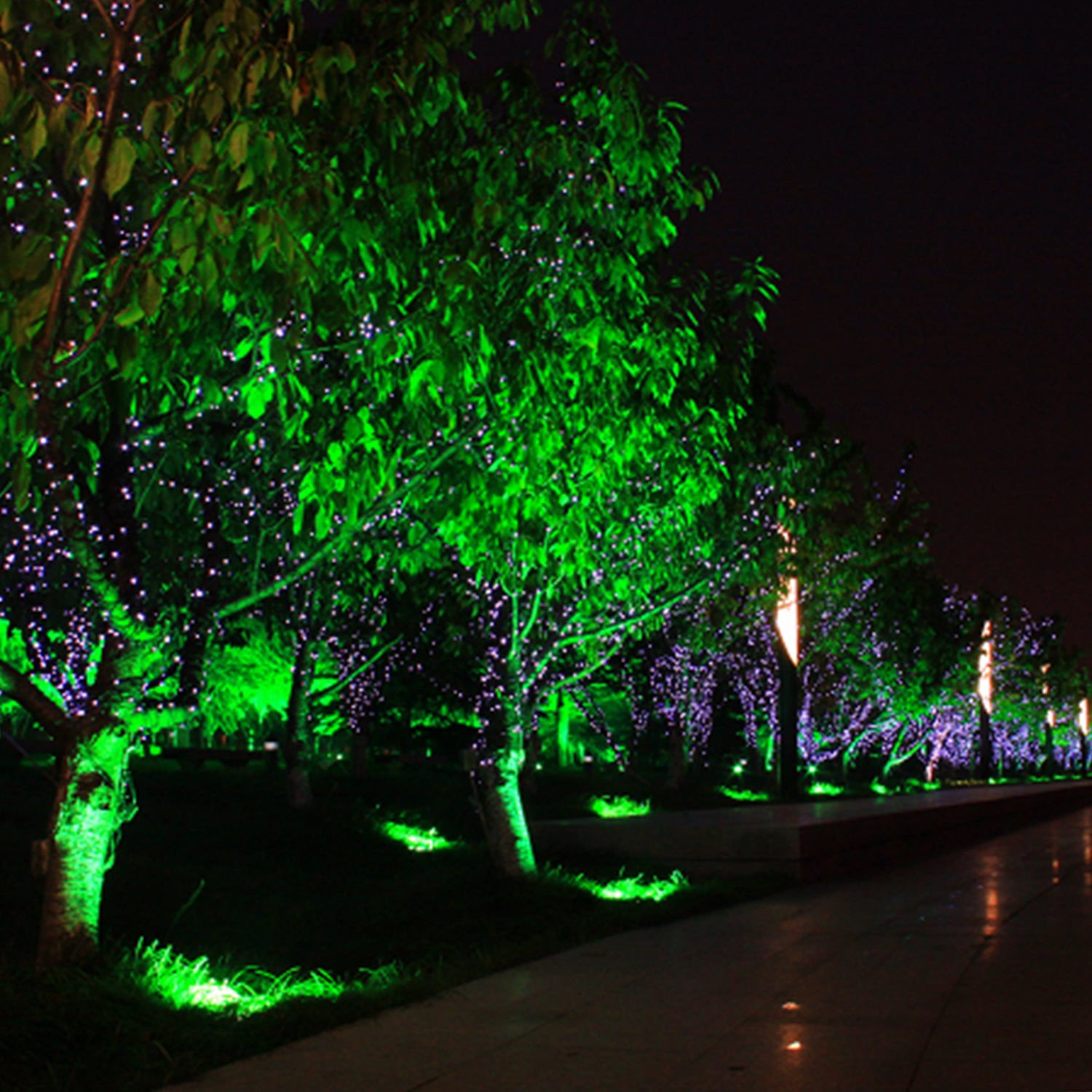 4PACK LED Outdoor PAR38 Dusk To Dawn 5CCT RGBCW 12W 1050LM Not Dimmable - 7Pandas Australia