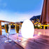 EGG Outdoor LED Party lights Chargeable RGB Color Changing Remote Control IP44