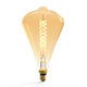 ST164 Dimmable LED Decorative Oversized Edison Bulbs 8W 300LM 2200K Warm White (40W Equivalent) Amber Glass CRI90 - 7Pandas Australia