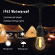 LED Festoon Lights Outdoor -  15.0 meter Commercial Grade IP65 Weatherproof Lights with 24 Shatterproof LED Bulbs for Xmas - 7Pandas Australia