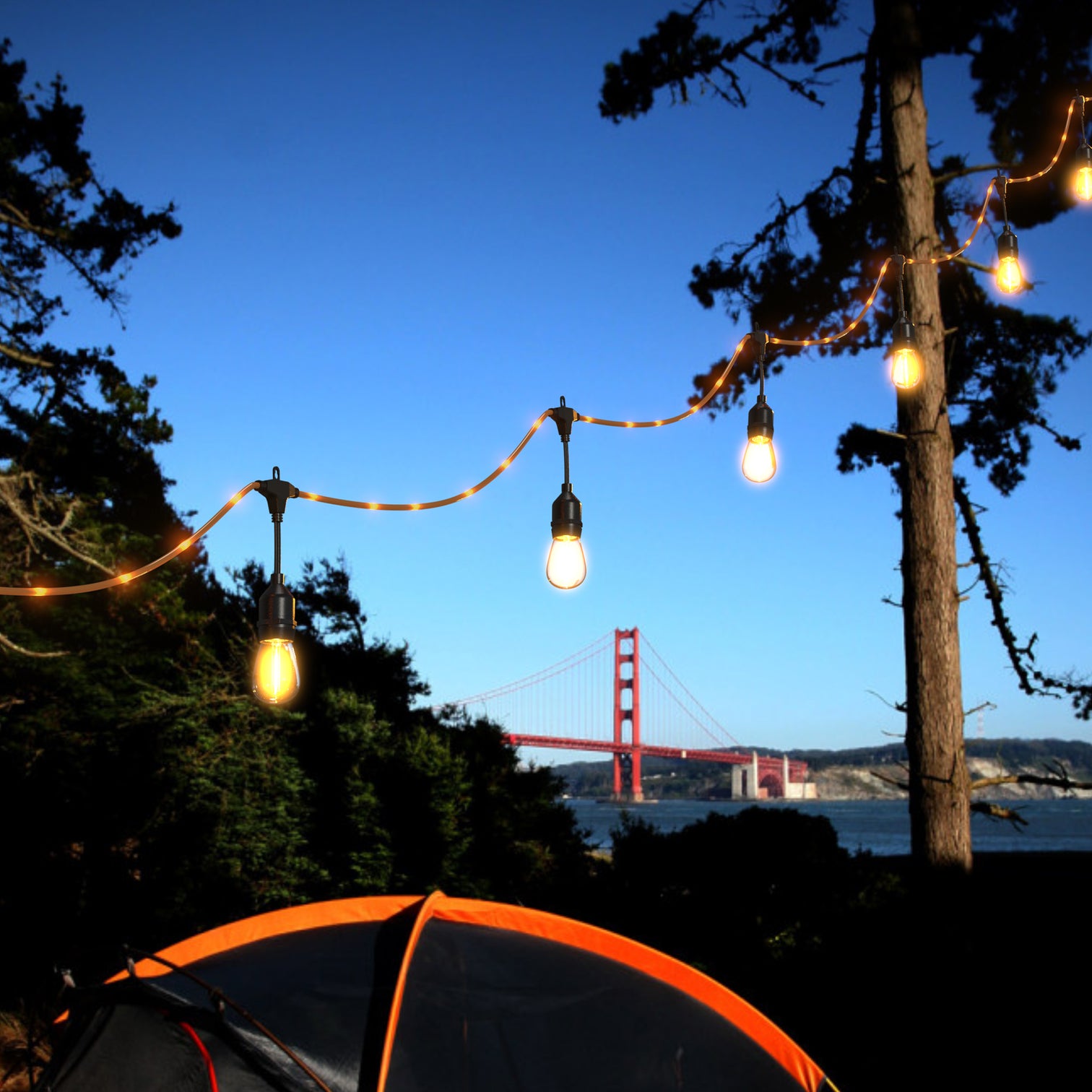 LED Festoon Lights Outdoor -  15.0 meter Commercial Grade IP65 Weatherproof Lights with 24 Shatterproof LED Bulbs for Xmas - 7Pandas Australia