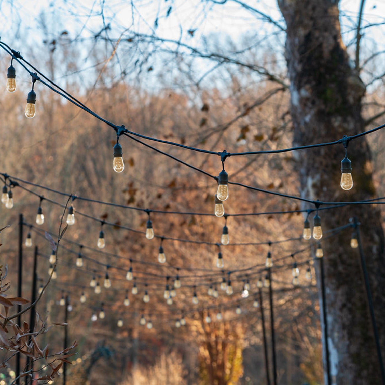 LED Festoon Lights Outdoor -  15.0 meter Commercial Grade IP65 Weatherproof Lights with 24 Shatterproof LED Bulbs for Xmas - 7Pandas Australia