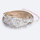 LED Strip 12V 10W IP62 3M 5M 3000K Warmwhite 5000K Coolwhite - 7Pandas Australia