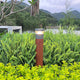 AVERY 800MM Aluminium Modern LED Landscape Path Bollard Light 10W 3000K IP65 - 7Pandas Australia