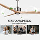 DARWIN 164cm / 65 inch 3 Blade DC Modern Timber Ceiling Fan Natural Solid wood - 7Pandas Australia