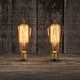 Edison Carbon Filament Bulb Globe Shape St64 25W E27 - 7Pandas Australia