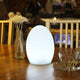 EGG Outdoor LED Party lights Chargeable RGB Color Changing Remote Control IP44 - 7Pandas Australia