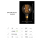 10PACK Edison Carbon Filament Bulb Globe Shape G95 25W E27 - 7Pandas Australia