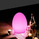 EGG Outdoor LED Party lights Chargeable RGB Color Changing Remote Control IP44 - 7Pandas Australia